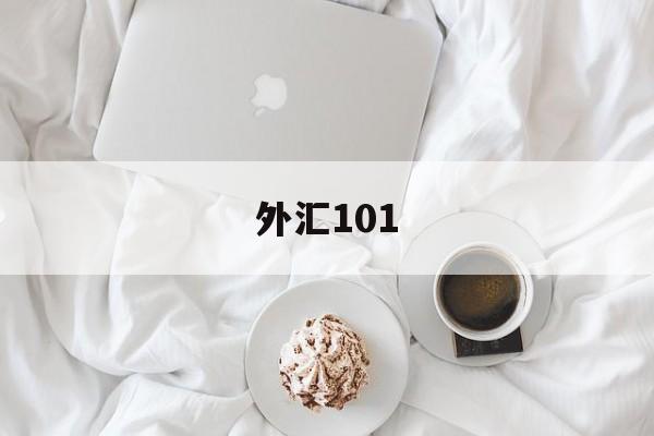 外汇101(外汇110官网)